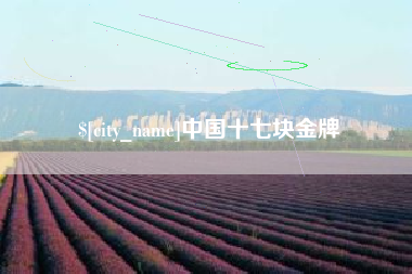 安溪中国十七块金牌
