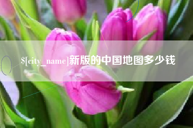 安溪新版的中国地图多少钱