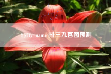 安溪排三九宫图预测