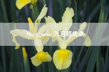 安溪九宫格优点
