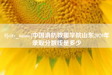 安溪中国消防救援学院山东2020年录取分数线是多少