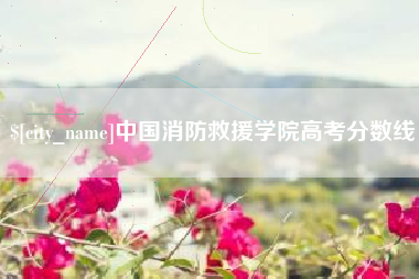 安溪中国消防救援学院高考分数线