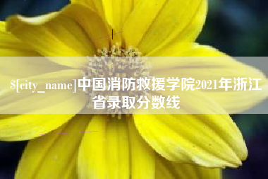 安溪中国消防救援学院2021年浙江省录取分数线