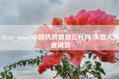 安溪中国执政信息公开网-失信人员查询页