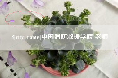 安溪中国消防救援学院 老师