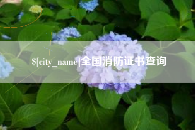 安溪全国消防证书查询