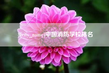 安溪中国消防学校排名