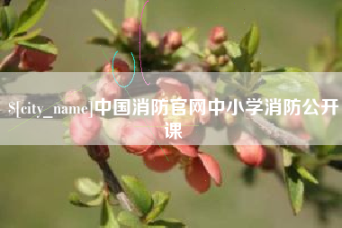 安溪中国消防官网中小学消防公开课