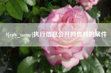 安溪执行信息公开网查到的案件