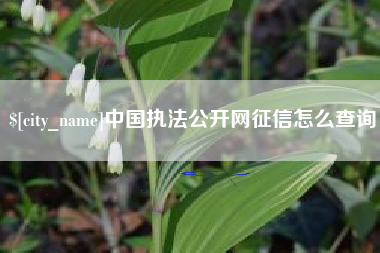 安溪中国执法公开网征信怎么查询