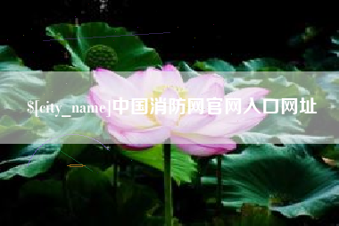 安溪中国消防网官网入口网址