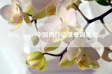 安溪中国执行记录查询系统app