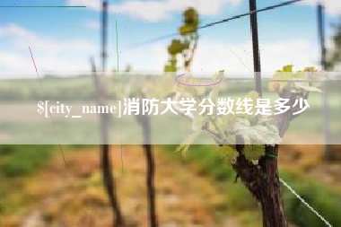 安溪消防大学分数线是多少