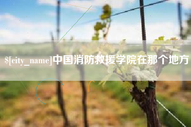 安溪中国消防救援学院在那个地方