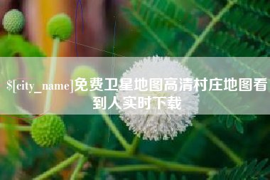 安溪免费卫星地图高清村庄地图看到人实时下载