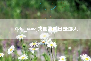 安溪我国消防日是哪天