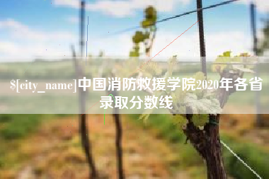 安溪中国消防救援学院2020年各省录取分数线