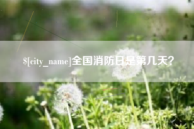 安溪全国消防日是第几天？