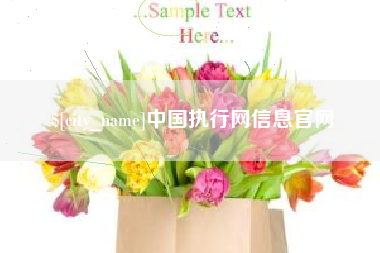 安溪中国执行网信息官网