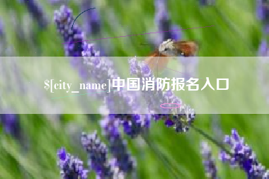 安溪中国消防报名入口