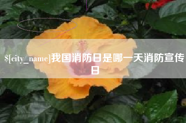 安溪我国消防日是哪一天消防宣传日