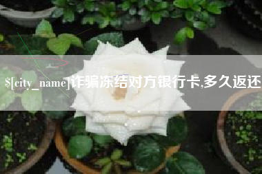 安溪诈骗冻结对方银行卡,多久返还