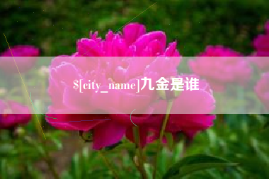 安溪九金是谁
