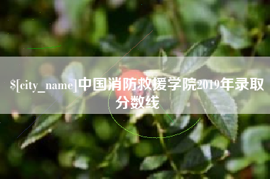 安溪中国消防救援学院2019年录取分数线
