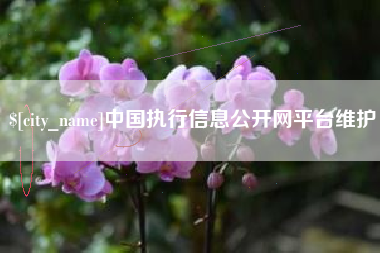 安溪中国执行信息公开网平台维护