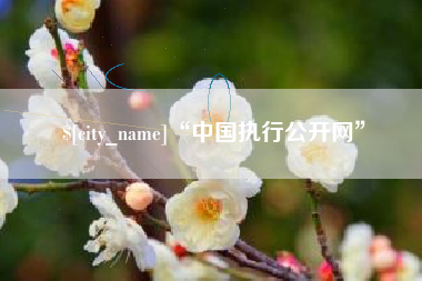 安溪“中国执行公开网”