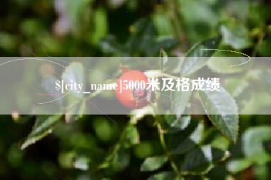 安溪5000米及格成绩