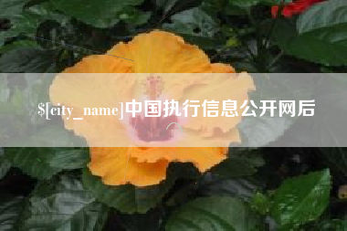 安溪中国执行信息公开网后