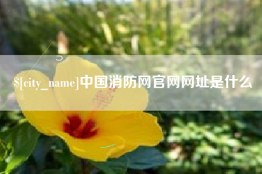 安溪中国消防网官网网址是什么