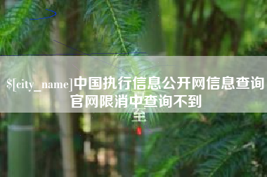 安溪中国执行信息公开网信息查询官网限消中查询不到