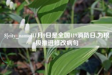 安溪11月9日是全国119消防日,为积极推进修改病句