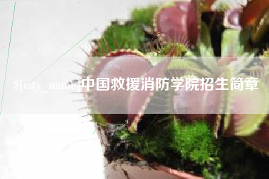 安溪中国救援消防学院招生简章