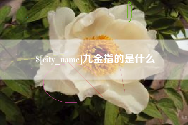 安溪九金指的是什么