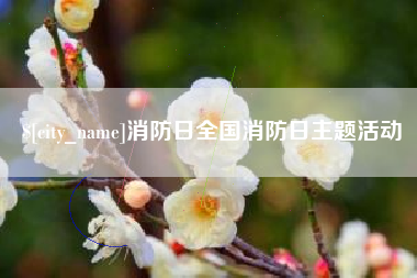安溪消防日全国消防日主题活动