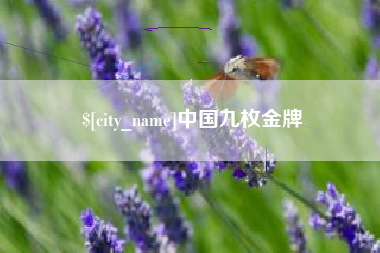 安溪中国九枚金牌