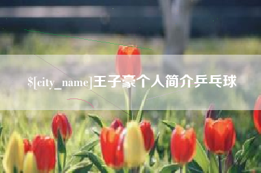安溪王子豪个人简介乒乓球