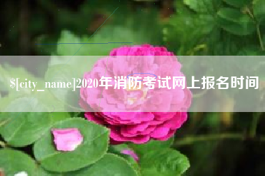 安溪2020年消防考试网上报名时间