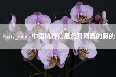 安溪中国执行信息公开网真的假的
