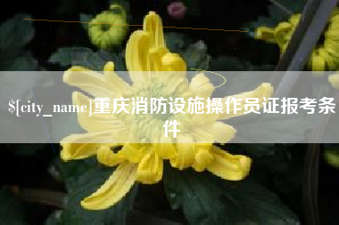 安溪重庆消防设施操作员证报考条件