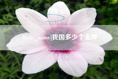 安溪我国多少个金牌