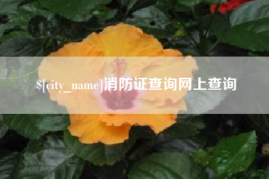 安溪消防证查询网上查询