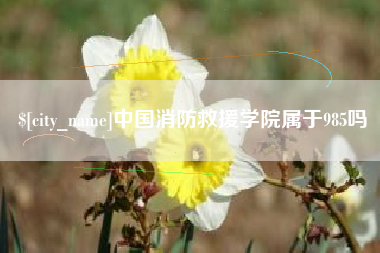 安溪中国消防救援学院属于985吗