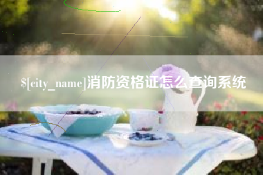 安溪消防资格证怎么查询系统