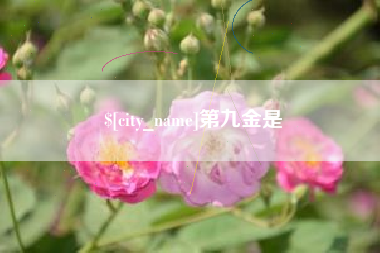 安溪第九金是