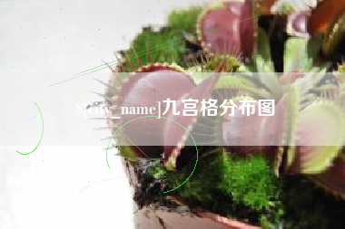 安溪九宫格分布图