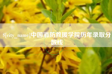 安溪中国消防救援学院历年录取分数线
